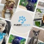 Furry Fades Dog Services - 1b Lowesmoor Terrace, Worcester, England