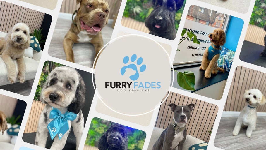 Furry Fades Dog Services collage showcases expertly groomed dogs in Worcester, England, GB.