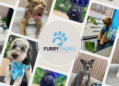 Furry Fades Dog Services collage showcases expertly groomed dogs in Worcester, England, GB.