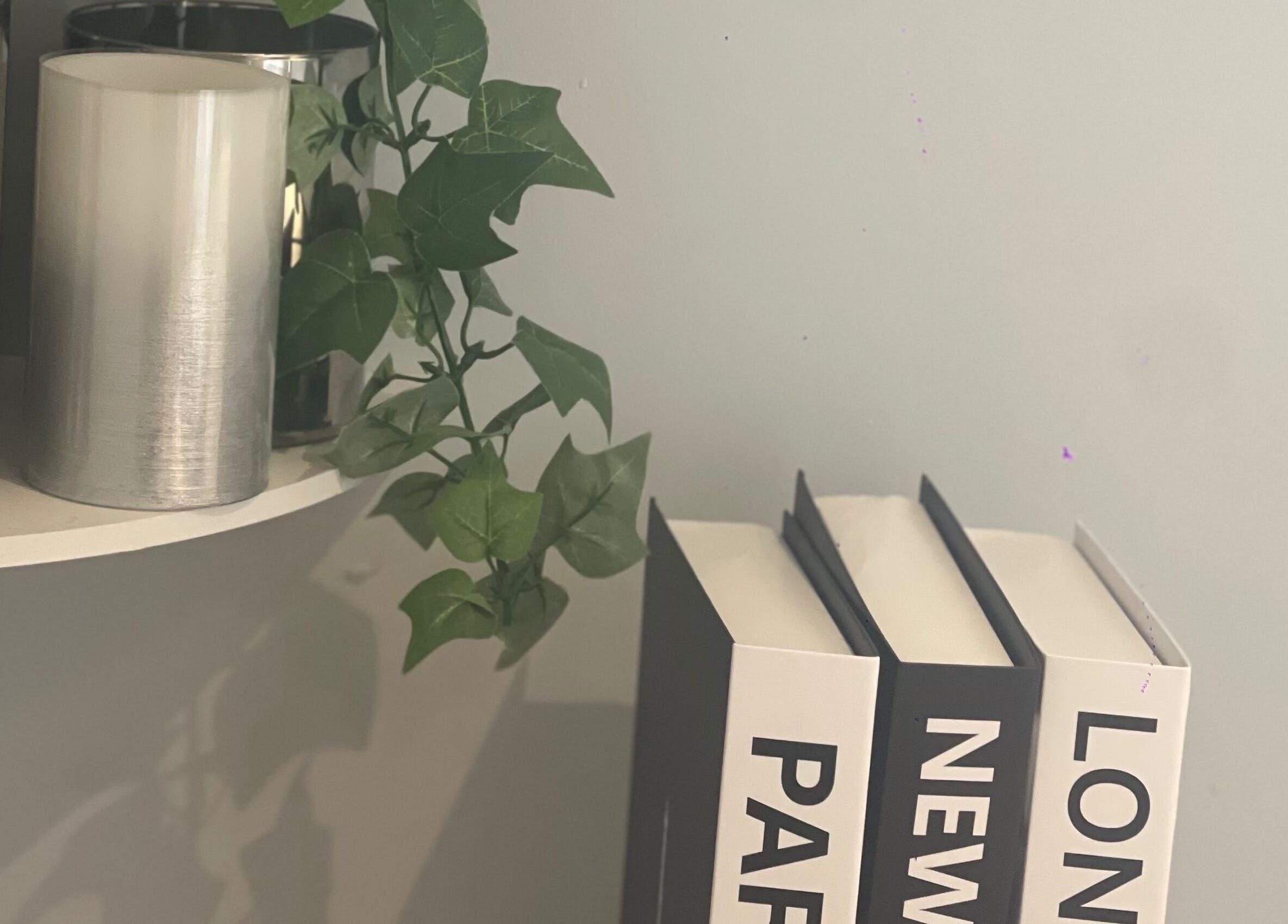 Stylish decor at MedicAesthetics, Oakley, England. Books and greenery create a calming ambiance.