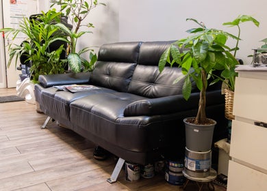 Cozy black leather sofa in Beautique Salon, London, England, GB, surrounded by lush green plants.
