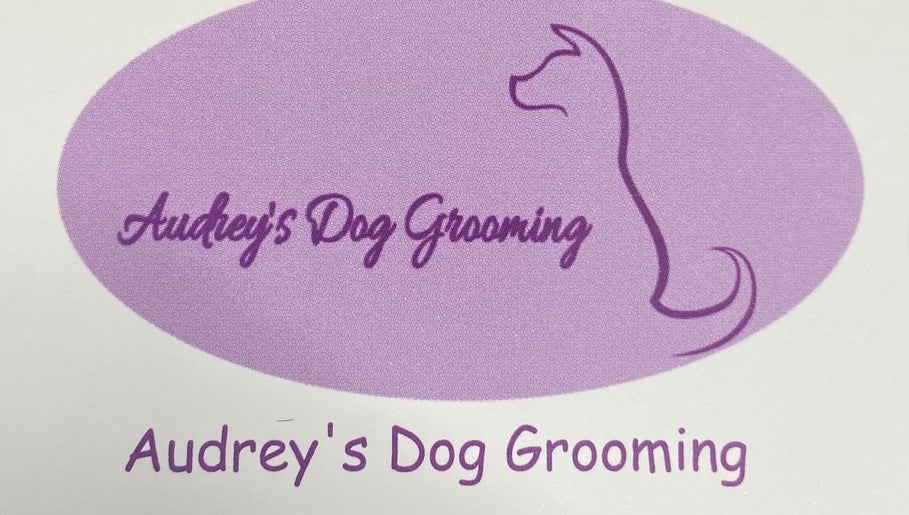 Audrey’s Dog Grooming  image 1