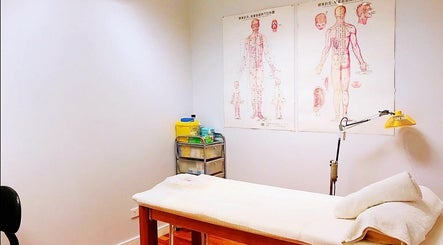 Lu's Healthcare Chinese Medicine and Massage