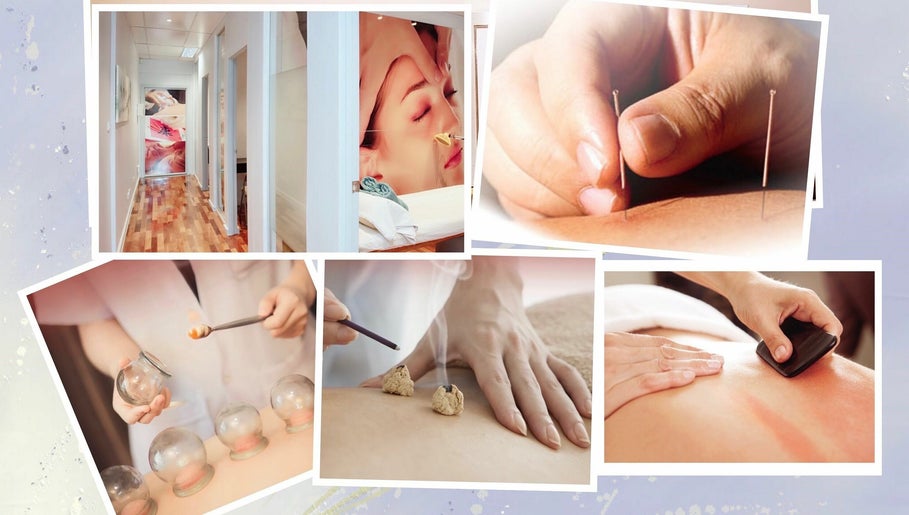 Lu's Healthcare Chinese Medicine and Massage billede 1