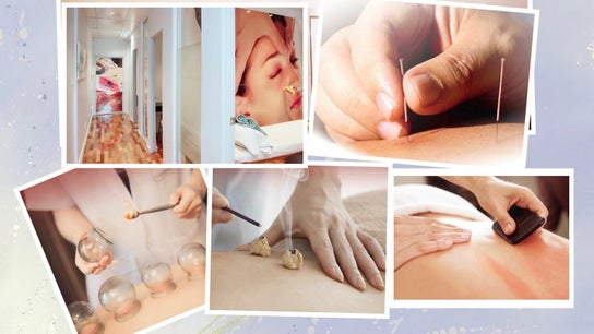 Lu's Healthcare Chinese Medicine and Massage
