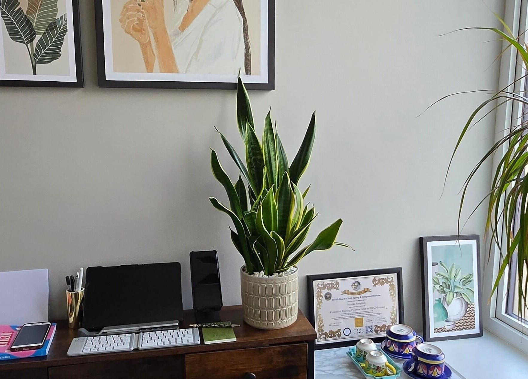 Elegant office with art and plants at DERMEDICA Beauty Studio, Hertford, GB.