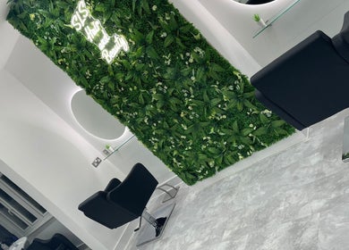 SLS Hair and Beauty in Chessington, England, GB featuring a chic interior with a lush green wall.