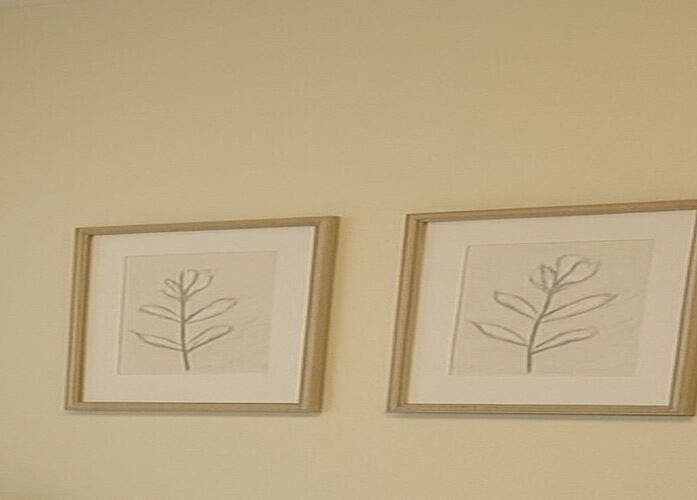Two framed botanical sketches on a beige wall at Elixir Skyn, Nassau, New Providence, BS.