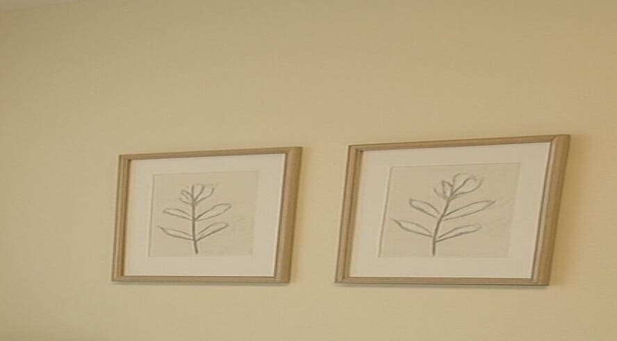 Two framed botanical sketches on a beige wall at Elixir Skyn, Nassau, New Providence, BS.