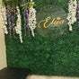 Elixir Beauty Bar