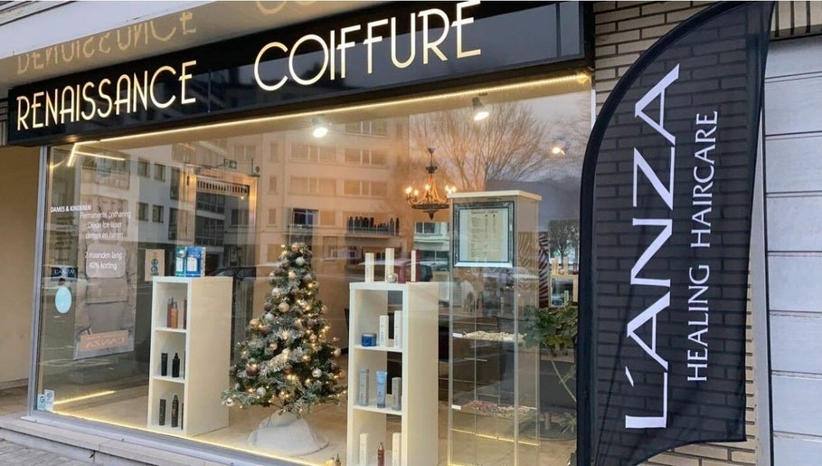 Renaissance coiffure afbeelding 1