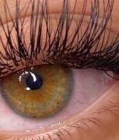 Lashes by Shabo – kuva 2