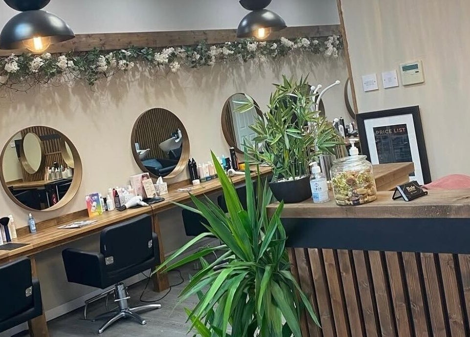 Chic interior of Hair by Jasmine, Carrick-On-Shannon, Roscommon, IE showcasing stylish mirrors and lush plants.