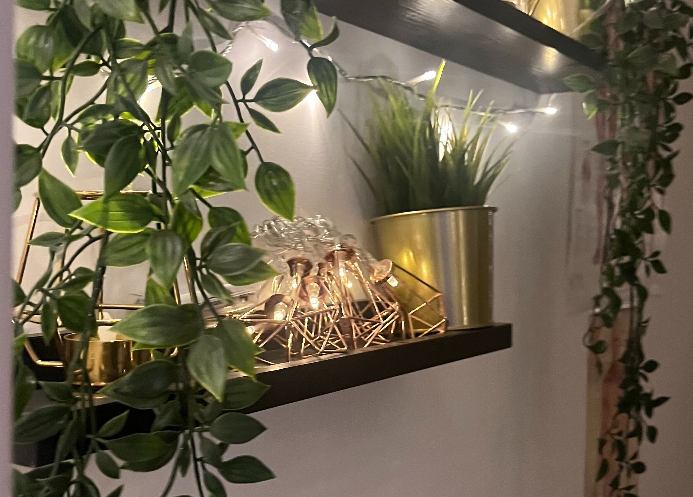 Decorative plants and lights on a shelf at Balance and Wellness, Preston, England, GB.