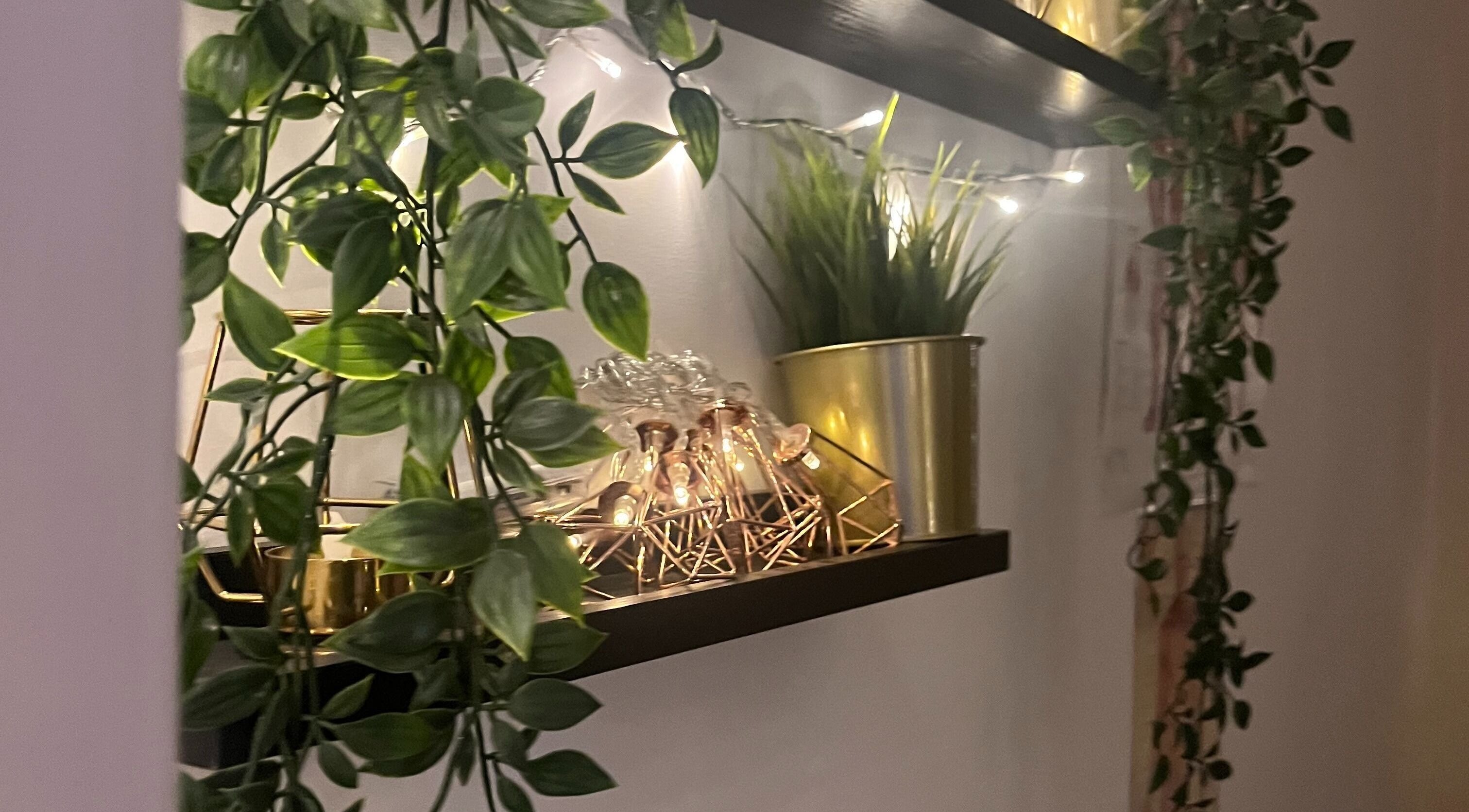 Decorative plants and lights on a shelf at Balance and Wellness, Preston, England, GB.