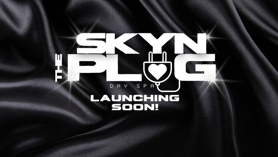 The Skyn Plug image 1