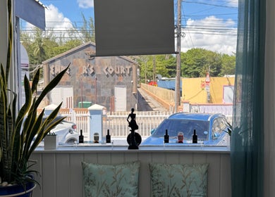 Relaxing view from Nspyre Beauty's window with plants and decor in Bridgetown, Christ Church, BB.