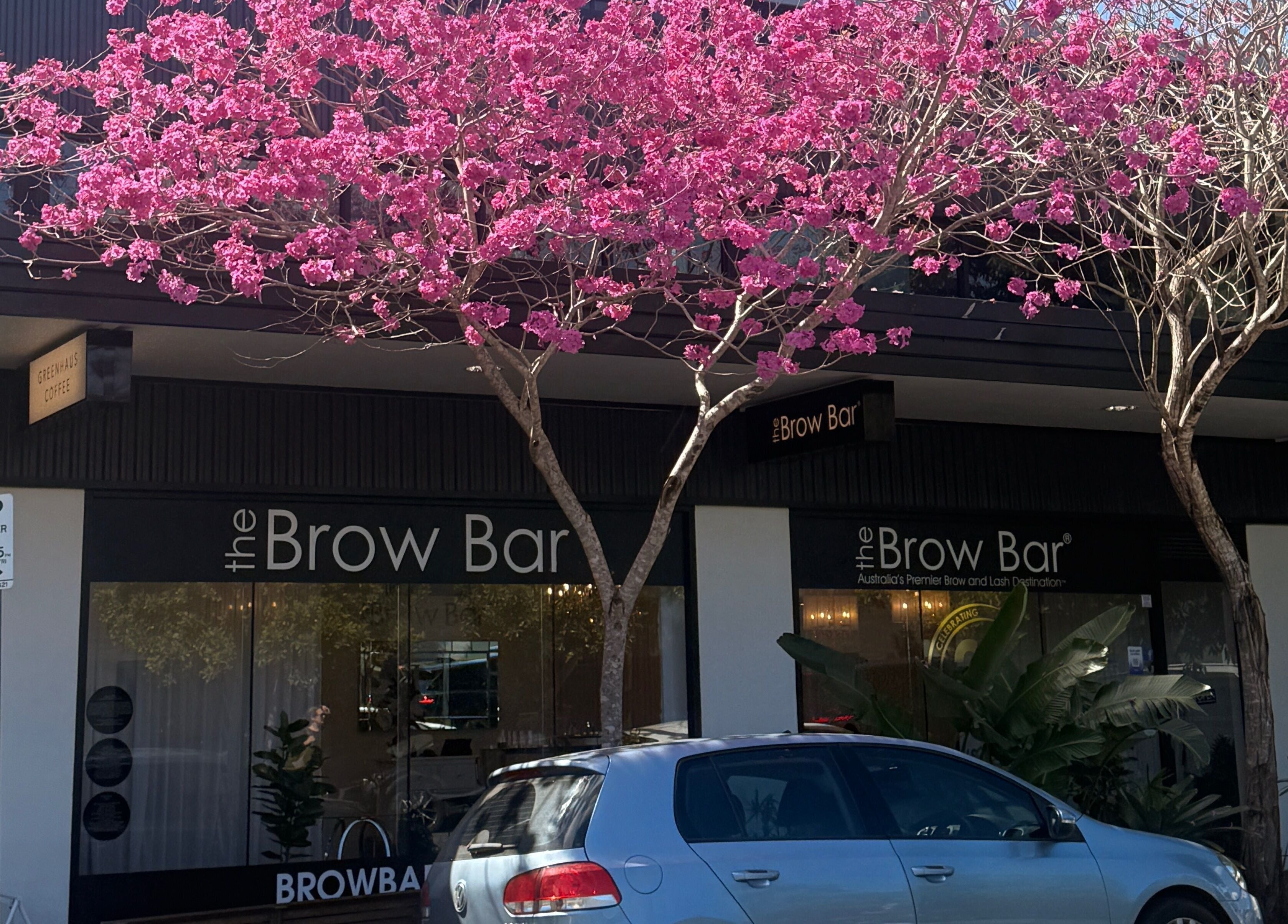The Brow Bar Newstead in Queensland, AU, framed by vibrant pink blooms and modern exterior.