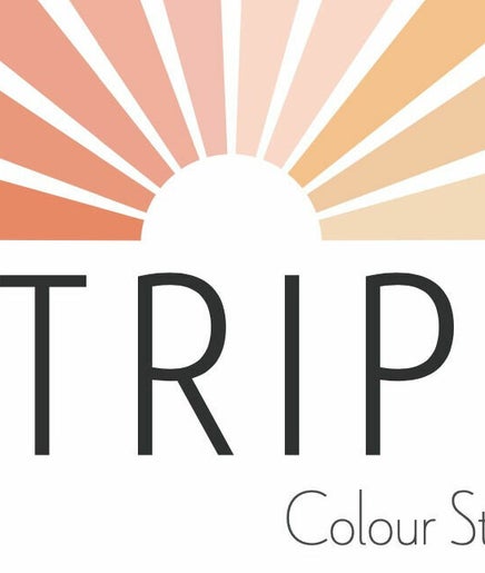 Stripe Colour Studio  image 2