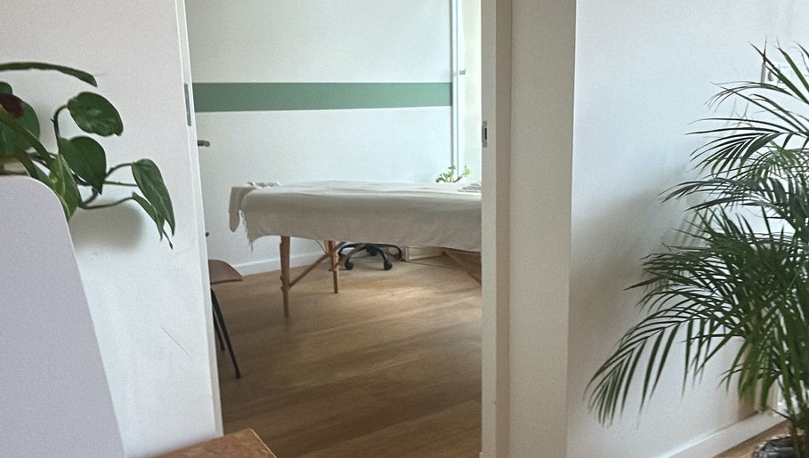 Calming massage room at Zenzamassage, Amsterdam, Noord-Holland, NL, featuring a massage table and greenery.