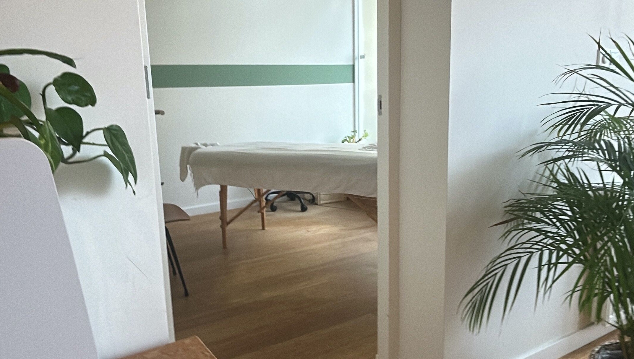 Calming massage room at Zenzamassage, Amsterdam, Noord-Holland, NL, featuring a massage table and greenery.