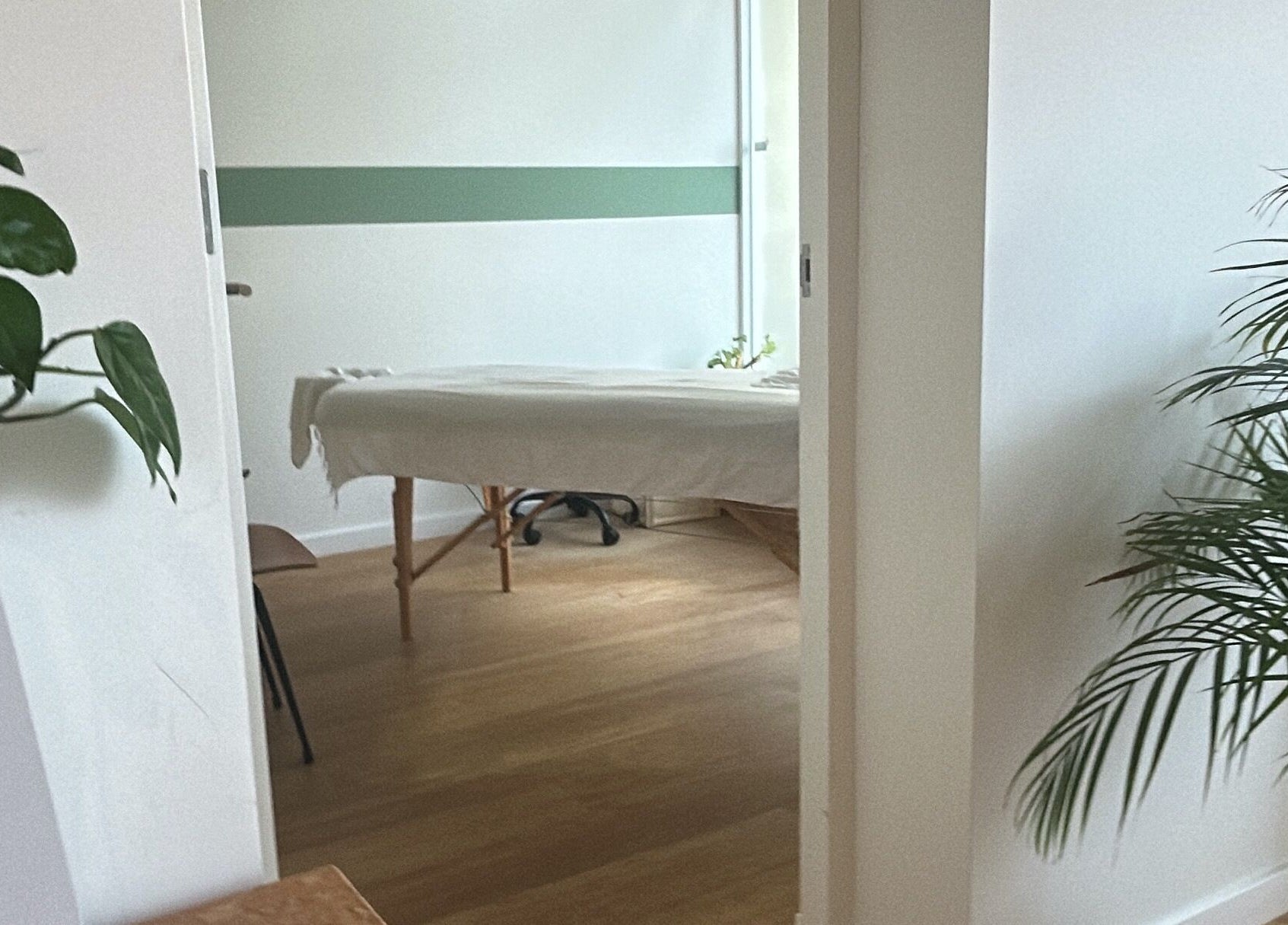 Calming massage room at Zenzamassage, Amsterdam, Noord-Holland, NL, featuring a massage table and greenery.