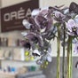 Bicester Oréa Clinic