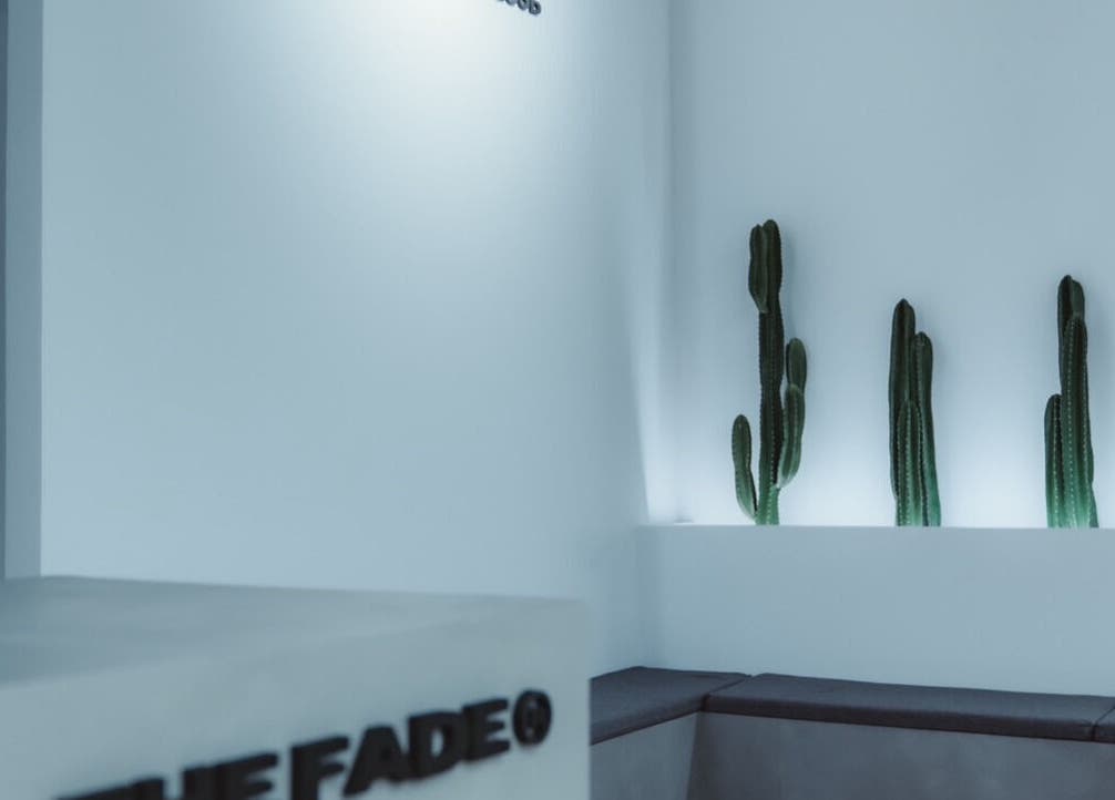 Interior moderno de The Fade | Barber Salon con cactus en Vitoria-gasteiz, País Vasco, ES.