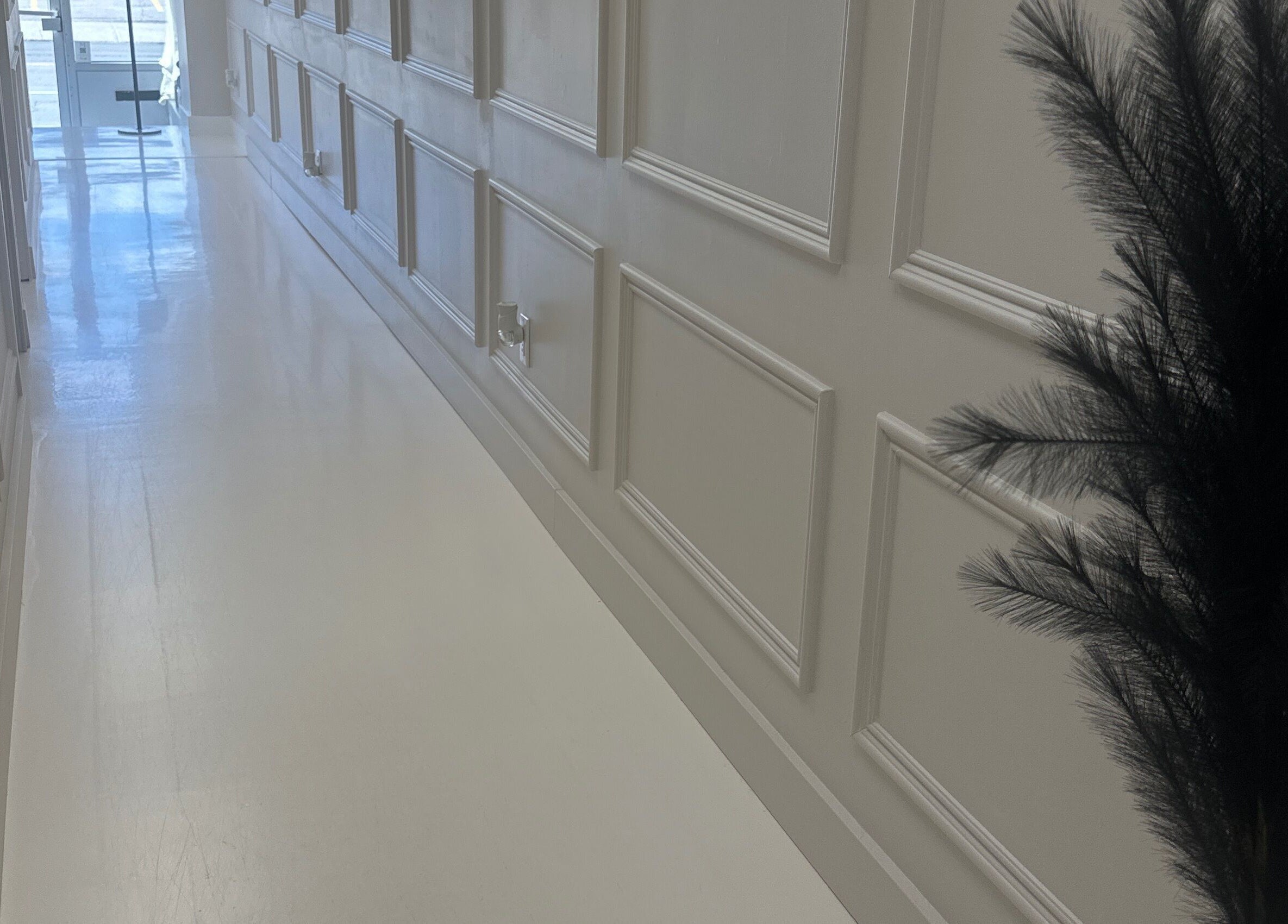 Corridor lumineux chez Mlaser, Laval, Québec, CA avec des panneaux muraux et une plante décorative.