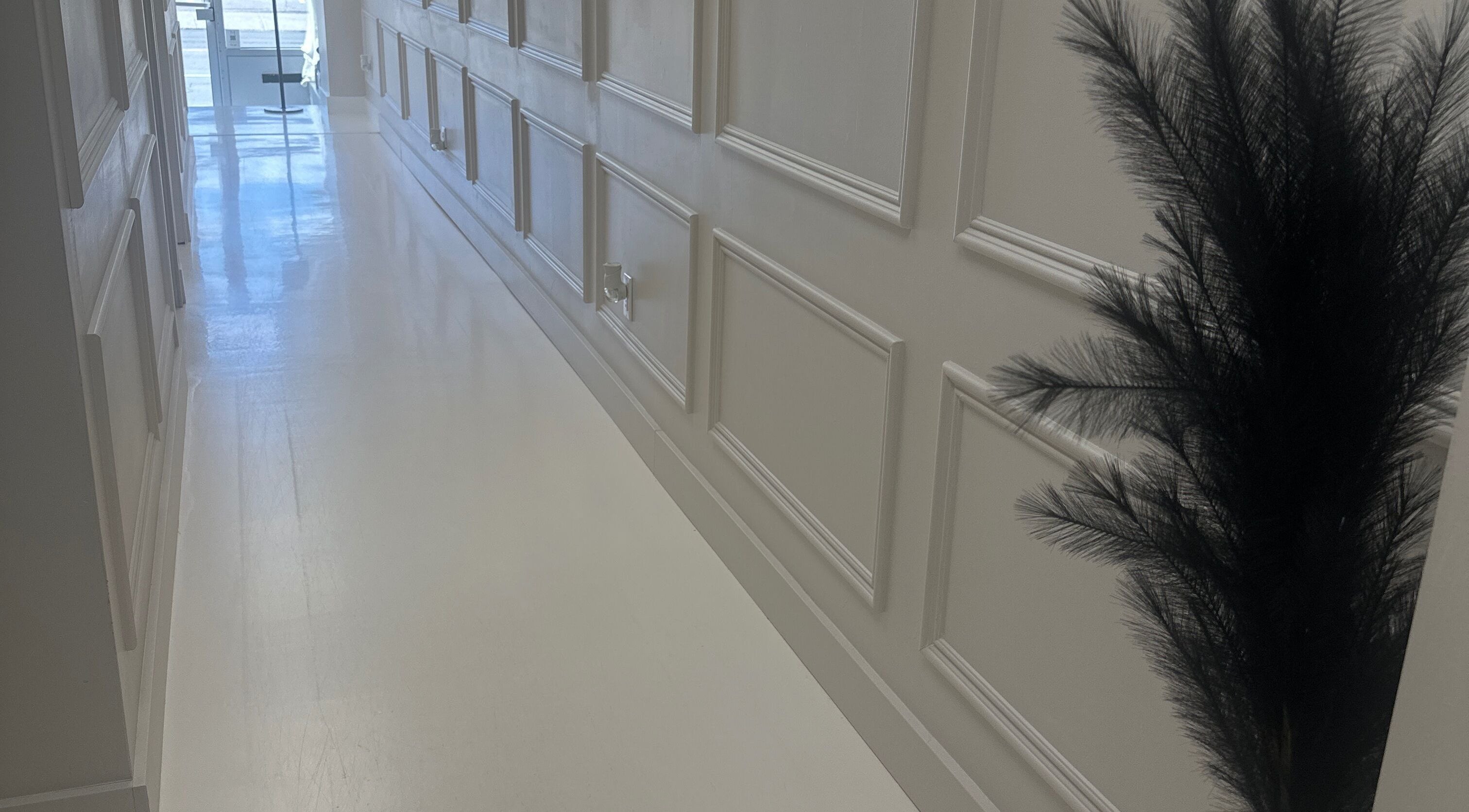 Corridor lumineux chez Mlaser, Laval, Québec, CA avec des panneaux muraux et une plante décorative.