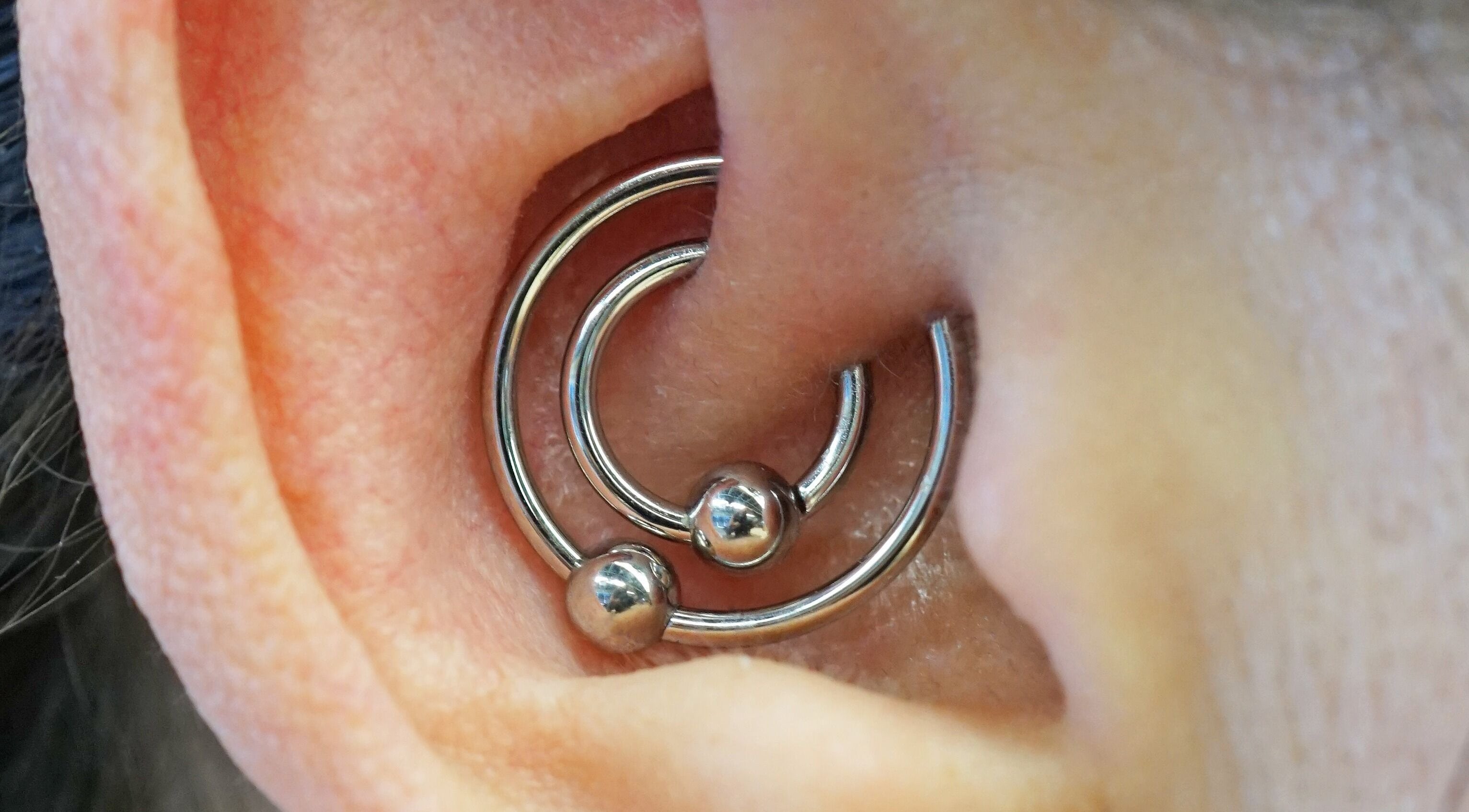 Close-up of a helix piercing with a sleek hoop earring at Vaughn Body Arts, Monterey, California, US.