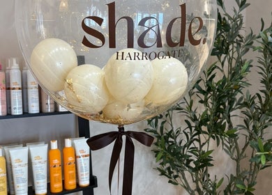 Stylish product display at Millie @ Shade Harrogate, featuring lush greenery. Harrogate, England, GB.