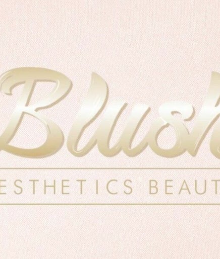Blush Aesthetics Beauty  2paveikslėlis
