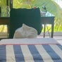 Serenity and Bliss Mobile Massage Barbados - Warrens, Warrens, Saint Michael