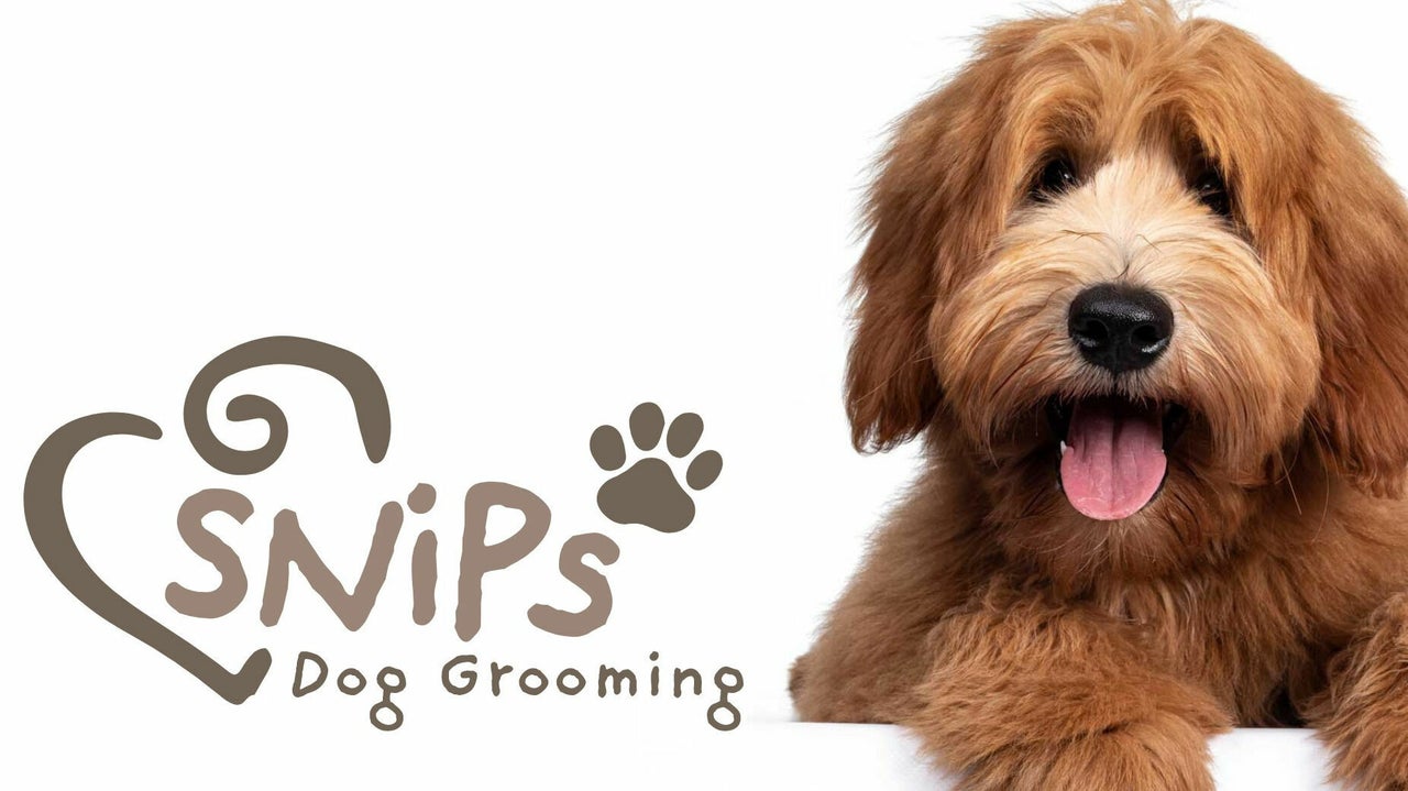 how much does a mobile otterhound groomer cost
