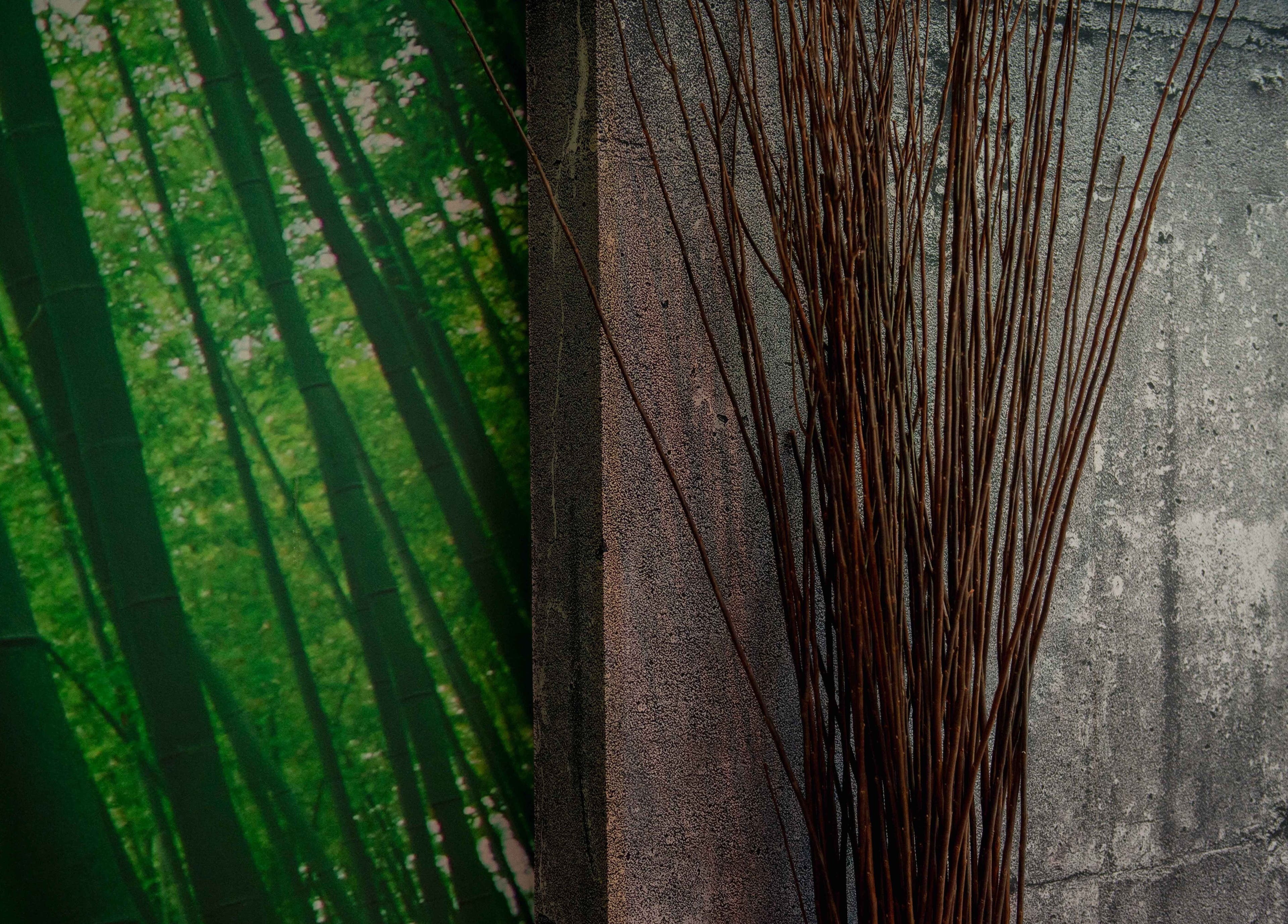 Bamboo and concrete design at House Of Yoko, North Vancouver, British Columbia, CA.
