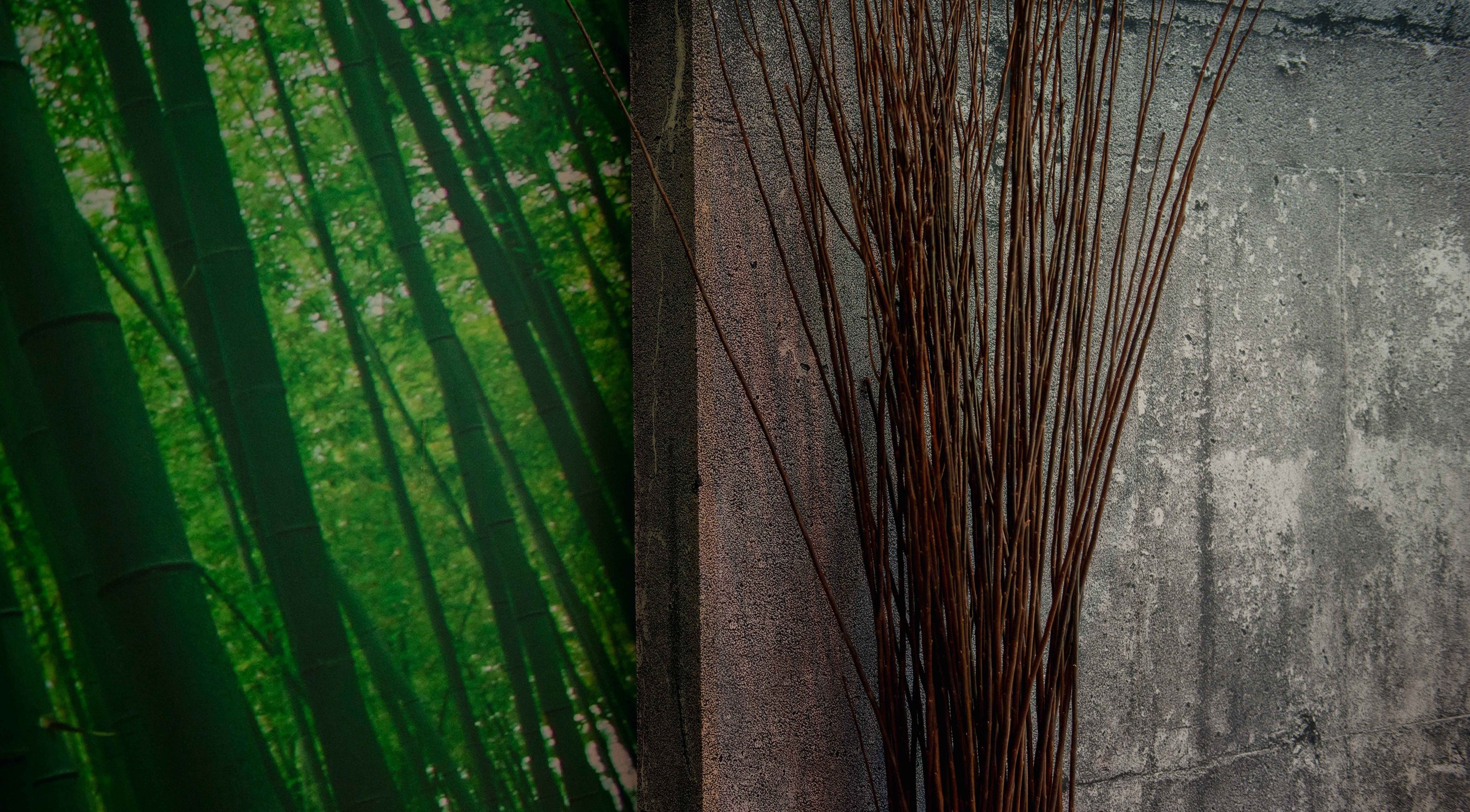 Bamboo and concrete design at House Of Yoko, North Vancouver, British Columbia, CA.