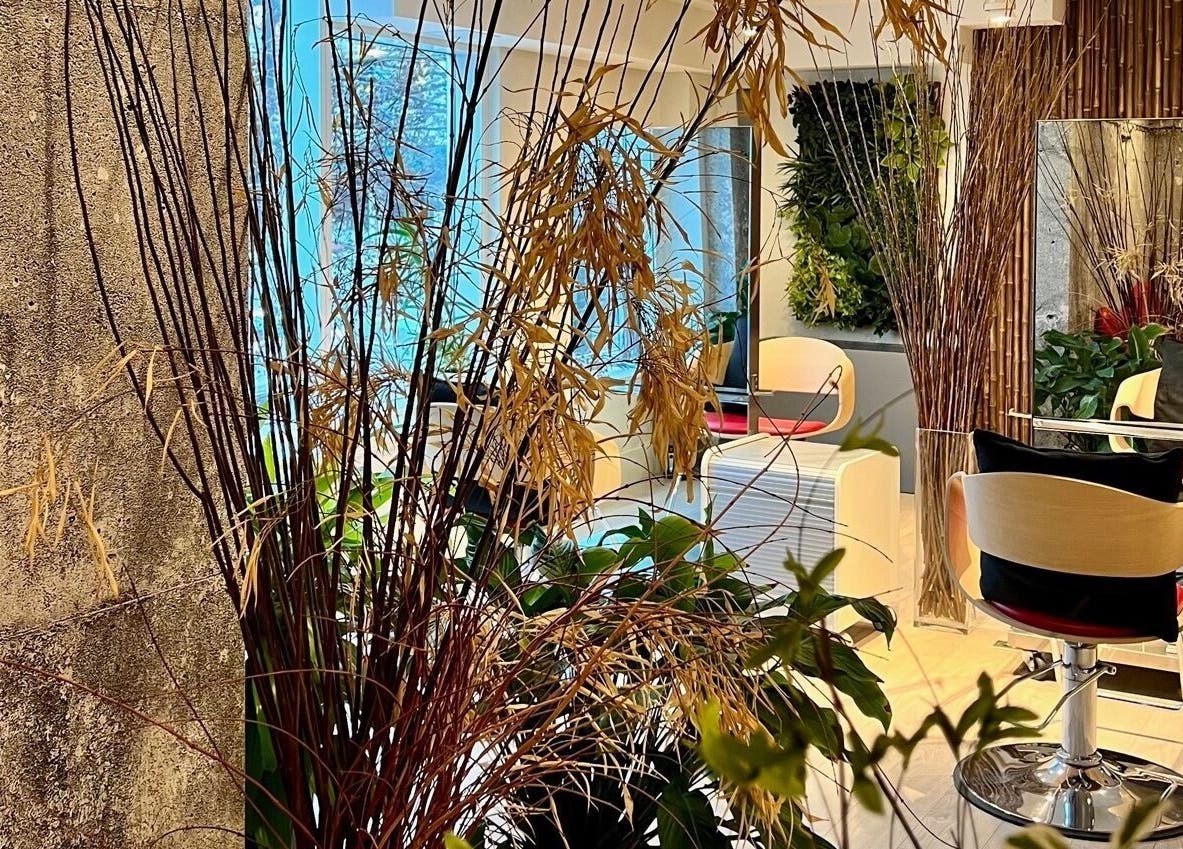 Modern salon interior at House Of Yoko, North Vancouver, BC, CA, featuring chic decor and vibrant green plants.