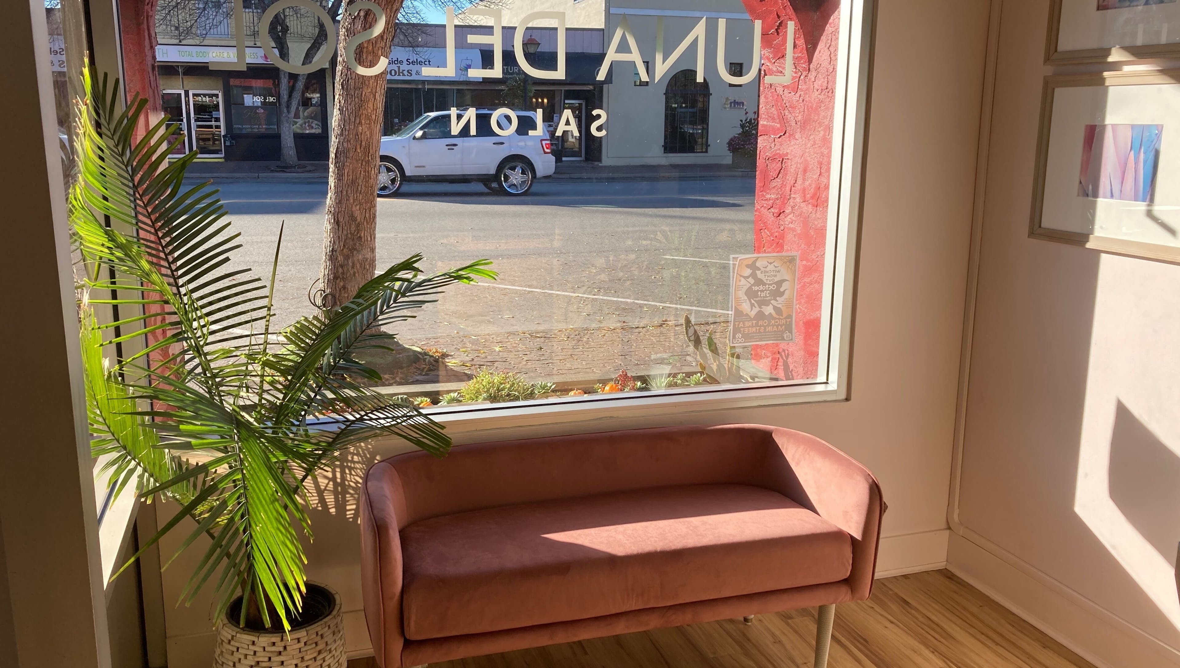 Bright lounge area in Luna Del Sol Salon, Osoyoos, British Columbia, CA with pink sofa and potted plant.
