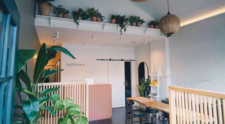 Aesthetica's inviting interior with lush plants in Bishopbriggs, Scotland, GB, offering a tranquil ambiance.