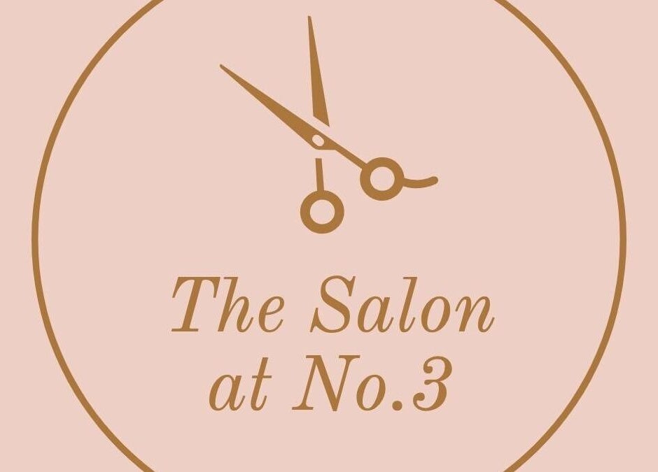 Logo of The Salon at No.3, Gloucester, England, GB with scissors design in a circle.