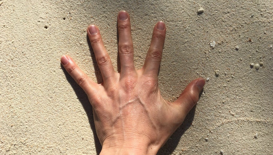 Zenthai Shiatsu - Suncoast Chiropractic obrázek 1