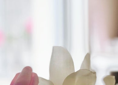 Serene white and pink flowers at Maa Botanicals Wellbeing Studio, Franklin, Australian Capital Territory, AU.