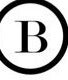 Beauty Theory  image 2