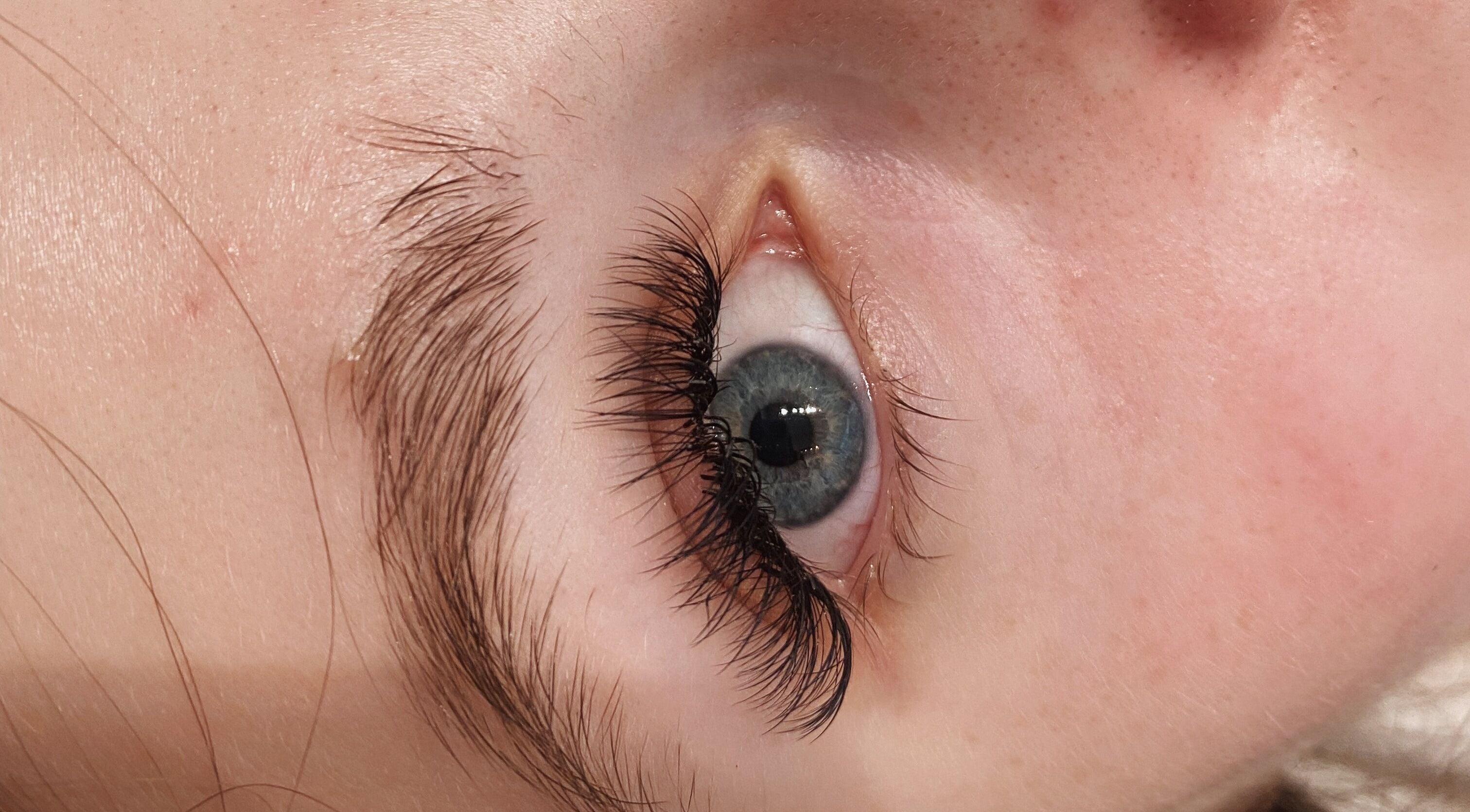Close-up of styled lashes from PR Lashes in Truro, England, GB showcasing intricate eyelash extensions.