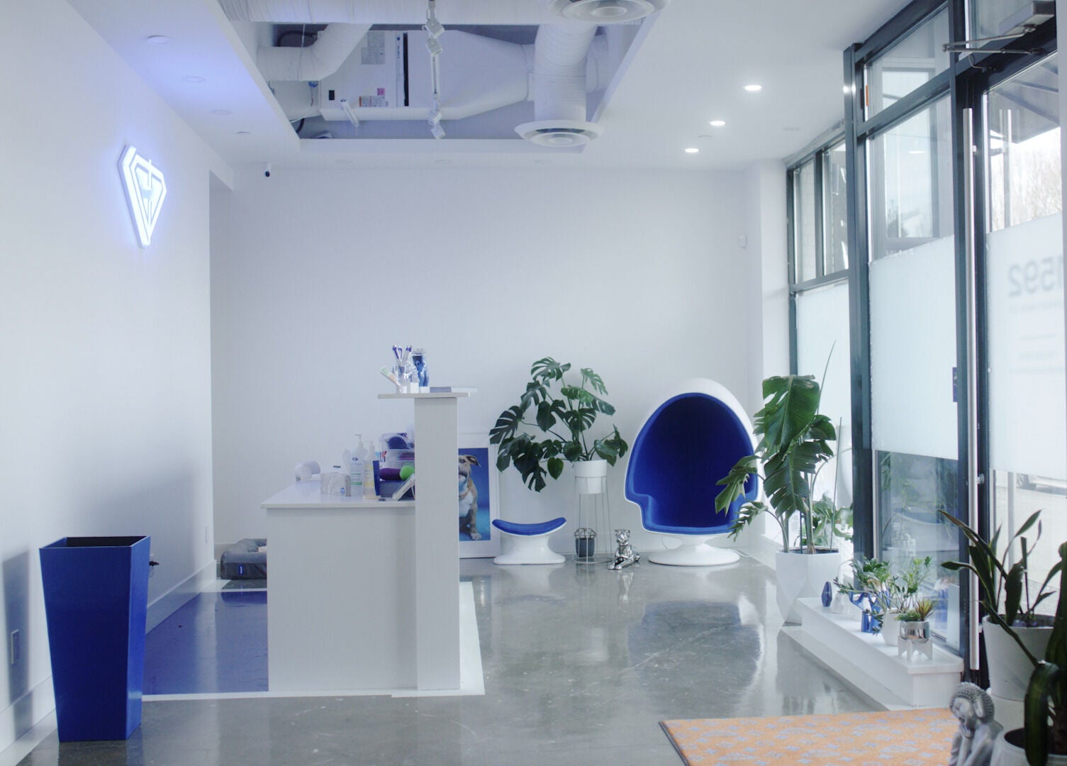 Modern interior of Classy Claws in Vancouver, British Columbia, CA with stylish decor and seating.