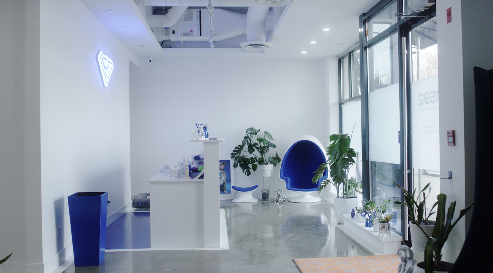 Modern interior of Classy Claws in Vancouver, British Columbia, CA with stylish decor and seating.