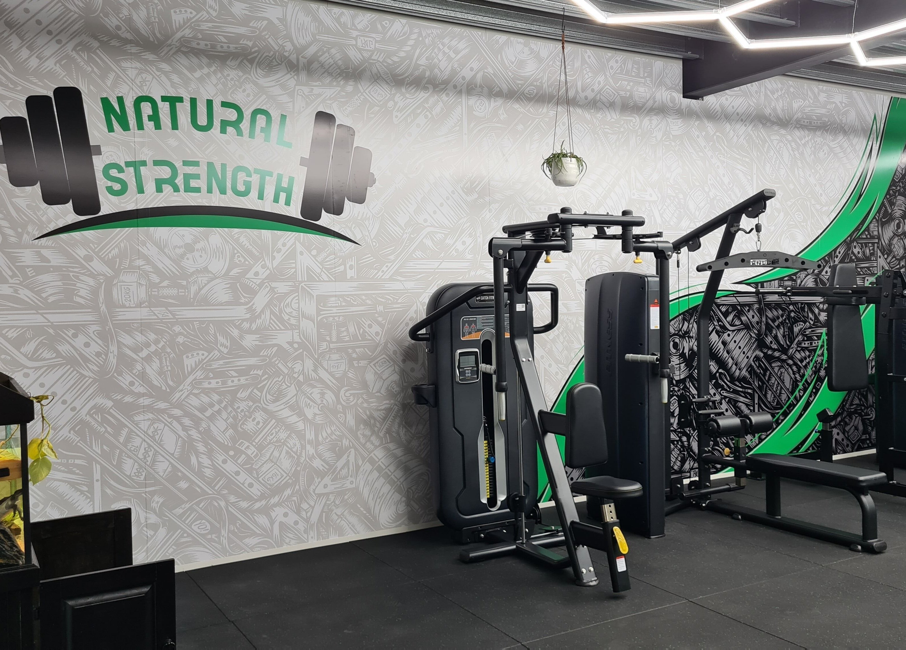 Modern fitness equipment at Natural Strength, Peakhurst, New South Wales, AU. Stylish gym interior.