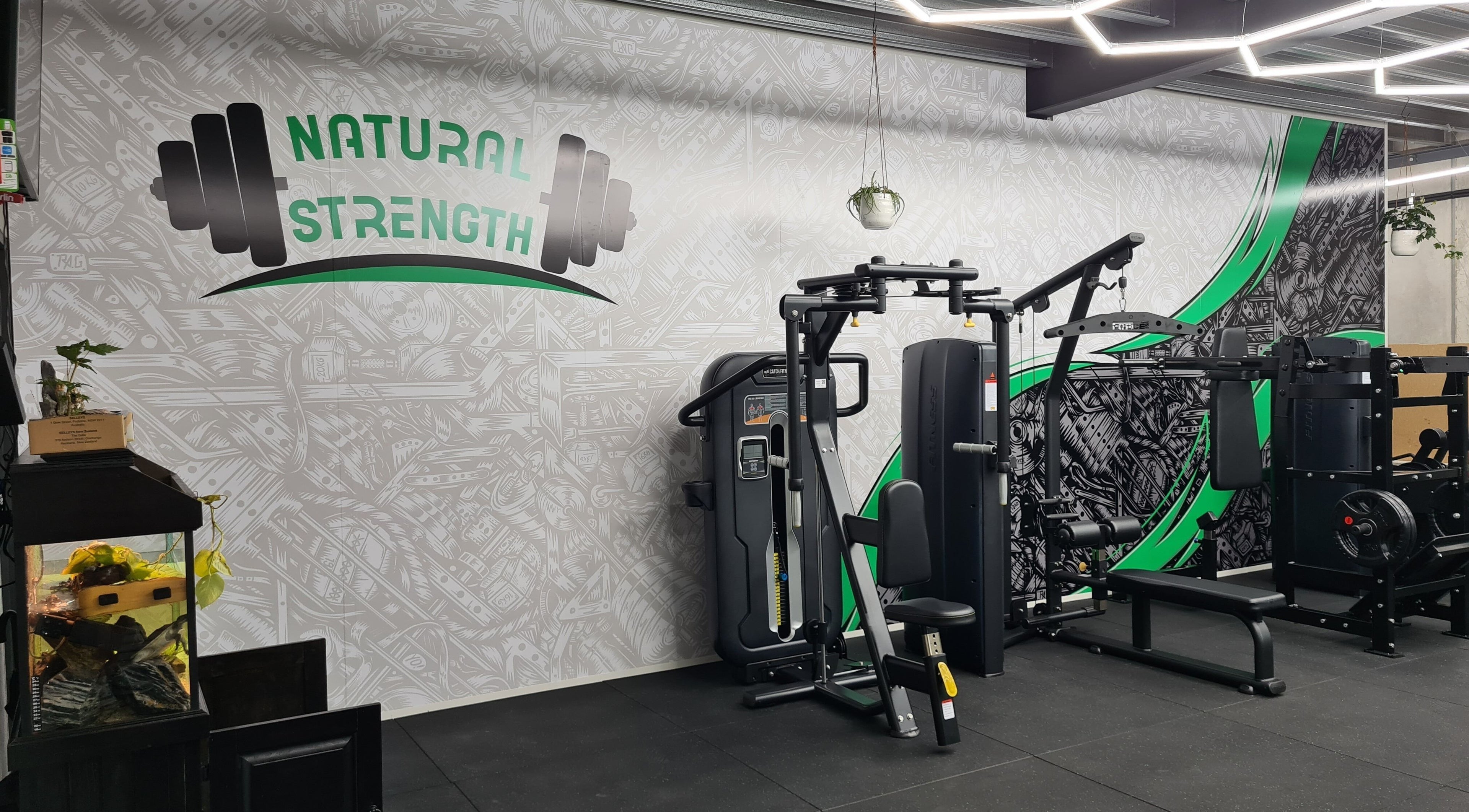 Modern fitness equipment at Natural Strength, Peakhurst, New South Wales, AU. Stylish gym interior.
