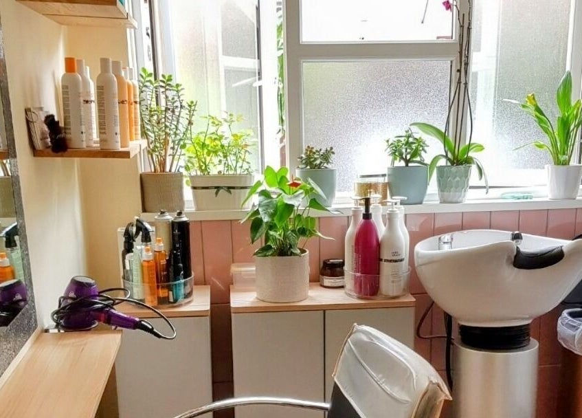 Bright hair salon with plants at Hair by Elena P, London, England, GB.